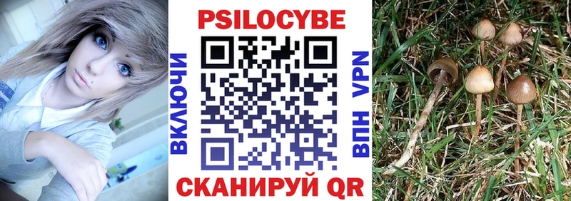 ссылка на мегу сайт  Алагир  Псилоцибиновые грибы Psilocybine cubensis 